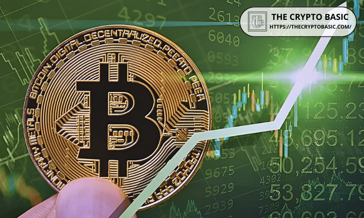 Market Expert Predicts When Bitcoin Will Reach Its Top for This Cycle